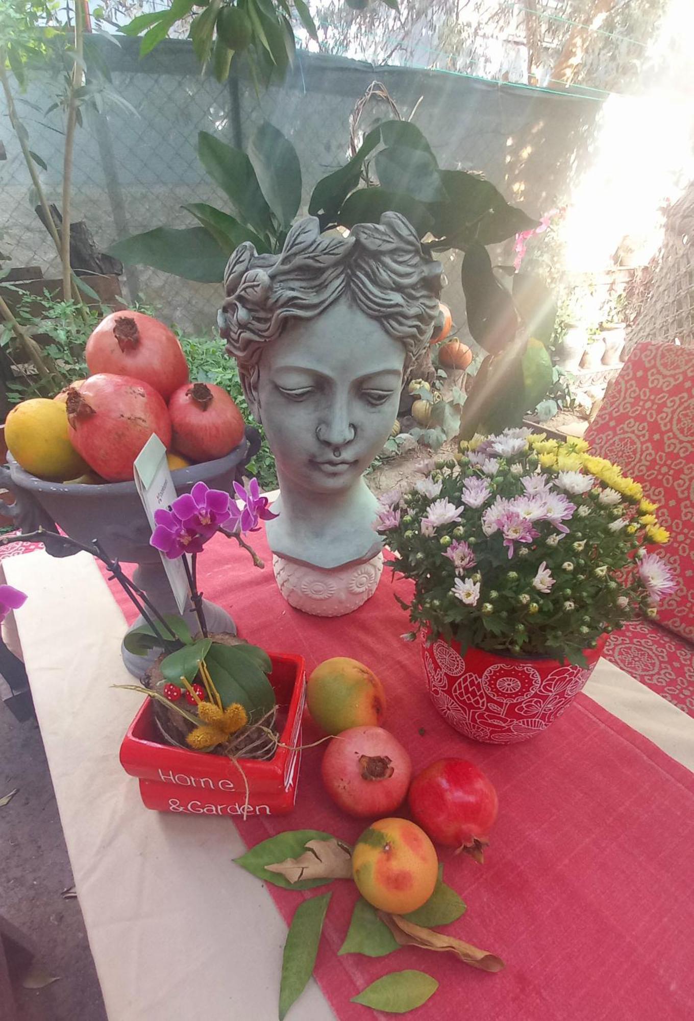 Demeter Rose Stonehouse Pansion Apartman Antalya Kültér fotó
