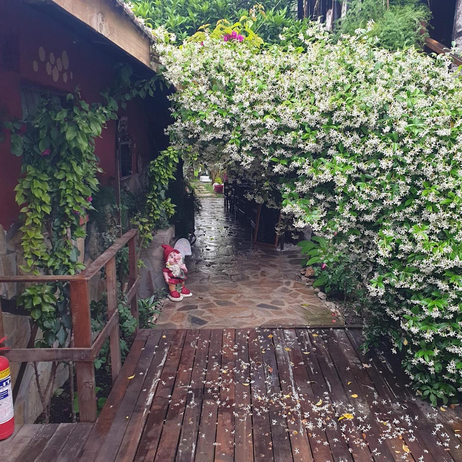 Demeter Rose Stonehouse Pansion Apartman Antalya Kültér fotó
