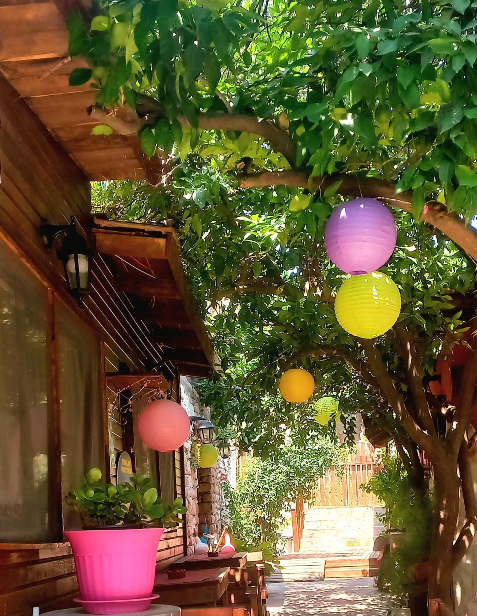 Demeter Rose Stonehouse Pansion Apartman Antalya Kültér fotó