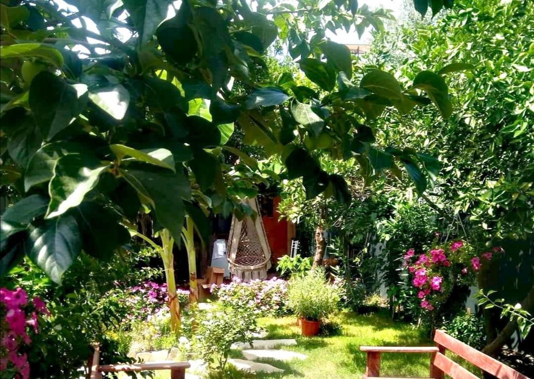 Demeter Rose Stonehouse Pansion Apartman Antalya Kültér fotó