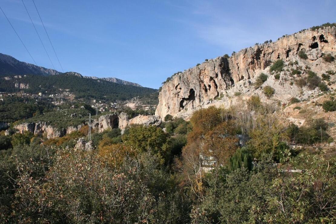 Demeter Rose Stonehouse Pansion Apartman Antalya Kültér fotó